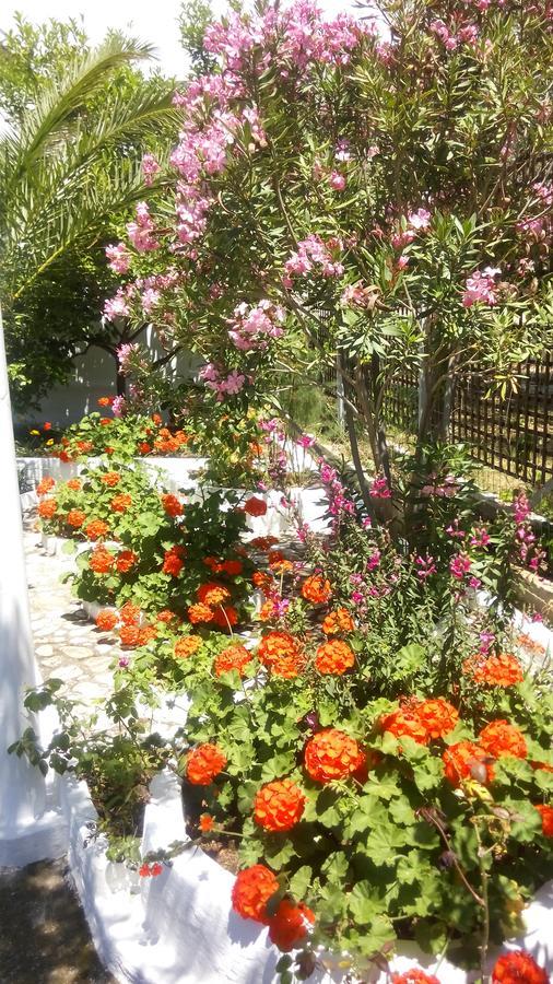 Gorgona Rooms Alikí 外观 照片